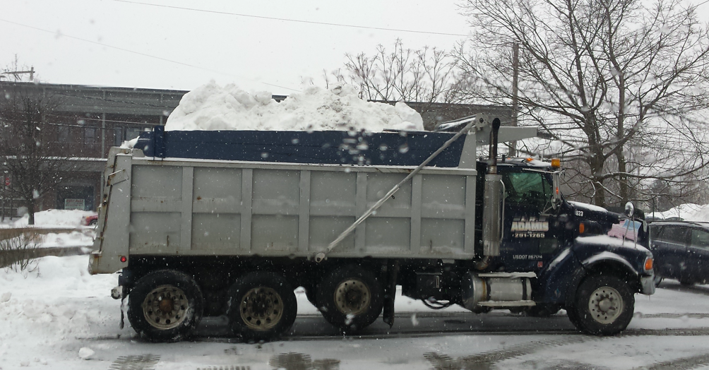 L.K. Adamis Mulch Mart Orange County, NY Services